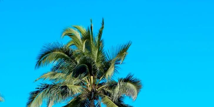 Zanzibar: 4* resort Jaz Adonia Beach Resort, all inclusive a přímý let