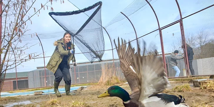Parádní zážitek a dobrý skutek k tomu: VIP návštěva nejmenší ZOO v ČR s krmením vydry
