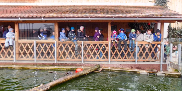 Parádní zážitek a dobrý skutek k tomu: VIP návštěva nejmenší ZOO v ČR s krmením vydry