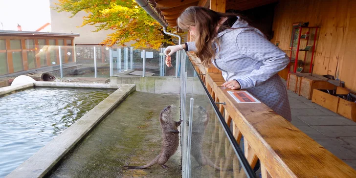 Parádní zážitek a dobrý skutek k tomu: VIP návštěva nejmenší ZOO v ČR s krmením vydry