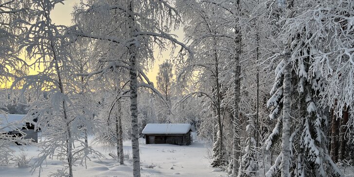 Dům ve Skandinávii pro 2-7 osob: mezi lesy a jezery pod polárním kruhem, český majitel se skvělým hodnocením