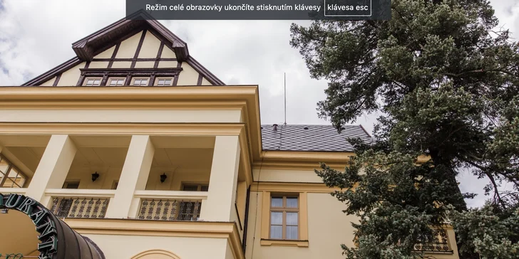 Křídla, hamburger s hranolky, koleno či žebra na grilu pro 1 i 2 osoby