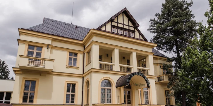 Křídla, hamburger s hranolky, koleno či žebra na grilu pro 1 i 2 osoby