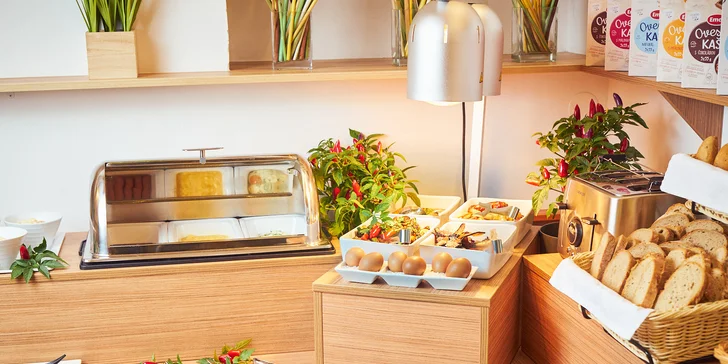 Pobyt v Děčíně ve Wellness hotelu Kocanda se stravou i privátním wellness