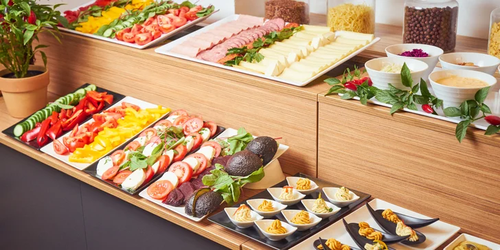 Pobyt v Děčíně ve Wellness hotelu Kocanda se stravou i privátním wellness