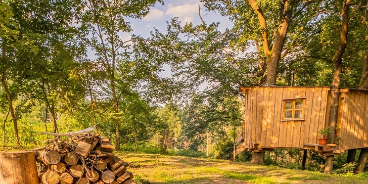 Ubytování na stromě: kouzelný pobyt v tajuplném lese poblíž Orlíku až pro 4 osoby