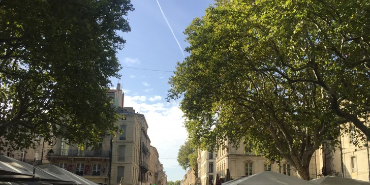 Velikonoce v Provence: Avignon, Lyon i slavnost býků, doprava busem, ubytování i snídaně