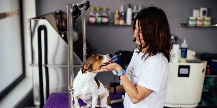 Kompletní péče o psy v dejvickém Pet´s Grooming & Spa: koupání, česání i střihání drápků a čištění uší