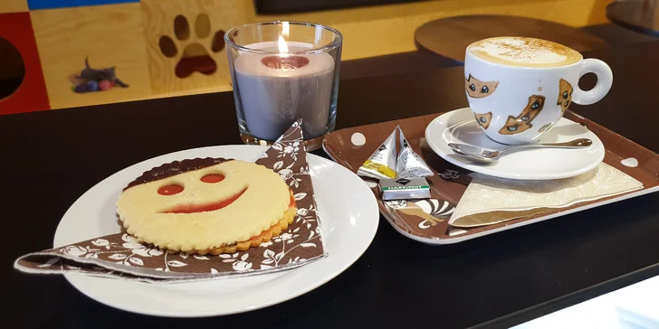 Pomazlení v KočKavárně: Nápoj dle výběru a k tomu sladkost ve společnosti 9 kočiček