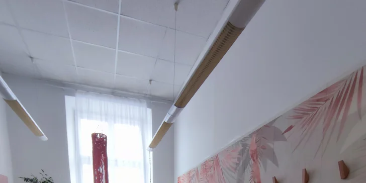 Vstupy na otevřené lekce jógy: ranní, na formování těla i jóga pro těhotné, 60-90 minut