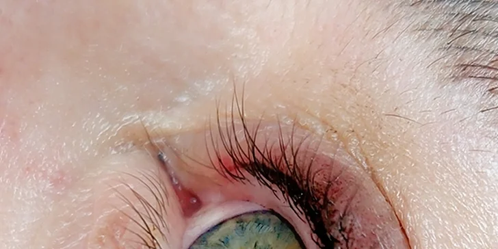 Microblading obočí: přirozený permanentní make-up metodou vláskování a oční linky se stínem