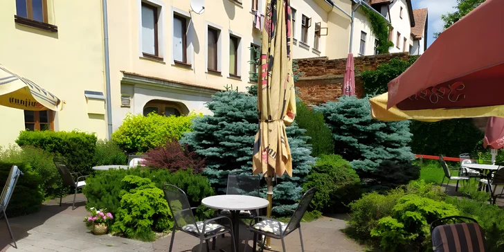 Prkno plné masa pro partu 2-6 osob: kuřecí a vepřové řízky, křidélka, paličky i hranolky či chléb