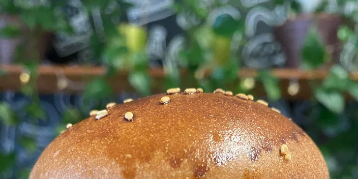 Dobrota pro 1 nebo 2 osoby: miniburger výběrem z 5 druhů i vč. hranolků