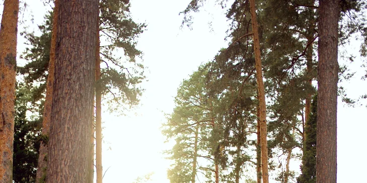 Exteriérové rodinné focení až pro čtyři osoby: 30 upravených fotografií, 1 hod focení