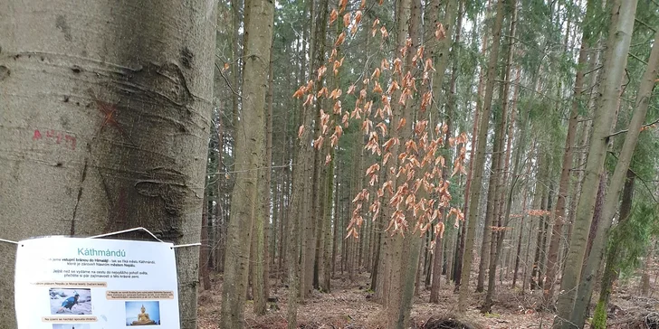 Dobrodružství a zábava: jarní dobrodružné bojovky pro děti už od 4 let