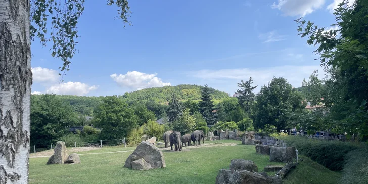 Vstupenka do pražské ZOO s online audioprůvodcem pro dítě i dospělého