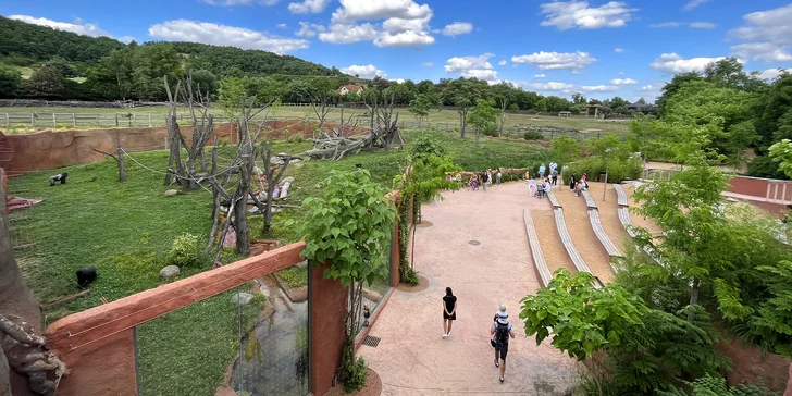 Vstupenka do pražské ZOO s online audioprůvodcem pro dítě i dospělého