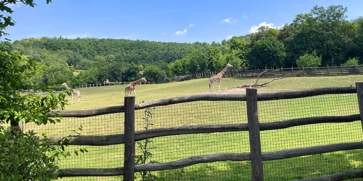 Vstupenka do pražské ZOO s online audioprůvodcem pro dítě i dospělého