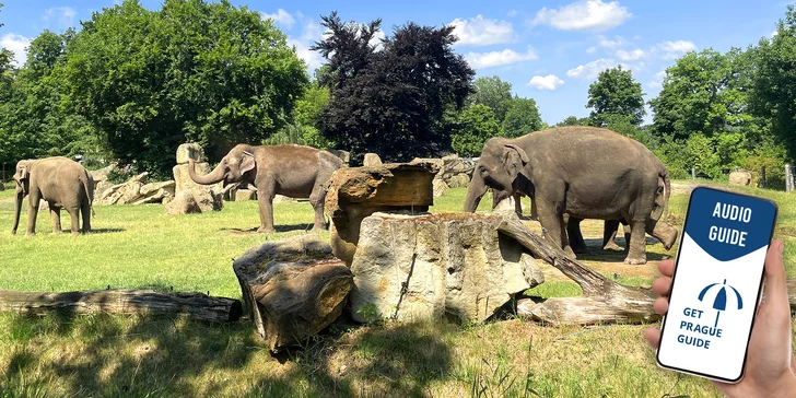 Vstupenka do pražské ZOO s online audioprůvodcem pro dítě i dospělého