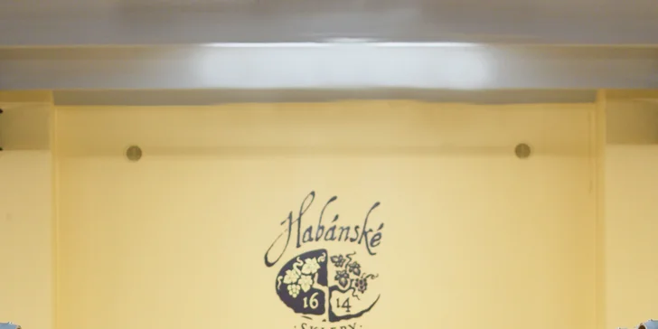 Prohlídka Habánských sklepů: degustace 6 vzorků, welcome drink, 1 nebo 6 lahví vína domů