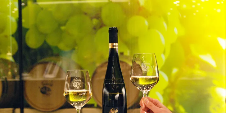Prohlídka Habánských sklepů: degustace 6 vzorků, welcome drink, 1 nebo 6 lahví vína domů