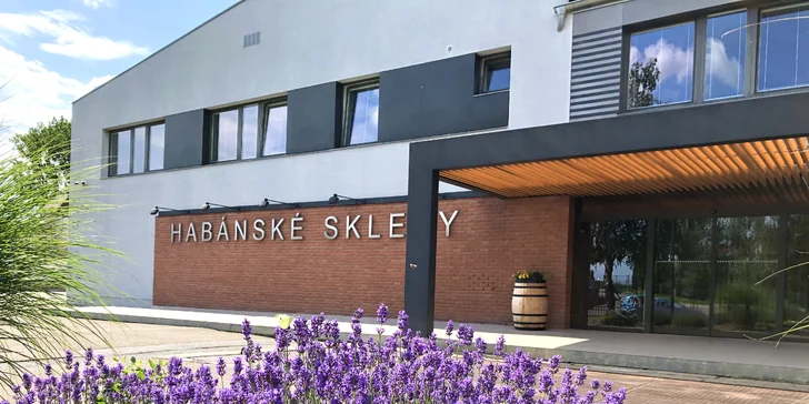 Prohlídka Habánských sklepů: degustace 6 vzorků, welcome drink, 1 nebo 6 lahví vína domů