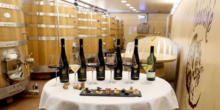 Prohlídka Habánských sklepů: degustace 6 vzorků, welcome drink, 1 nebo 6 lahví vína domů