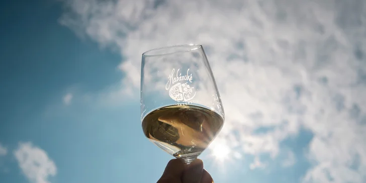 Prohlídka Habánských sklepů: degustace 6 vzorků, welcome drink, 1 nebo 6 lahví vína domů