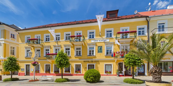 Františkovy Lázně se snídaní a neomezeným vstupem do aquaparku Aquaforum: bazény a vířivka