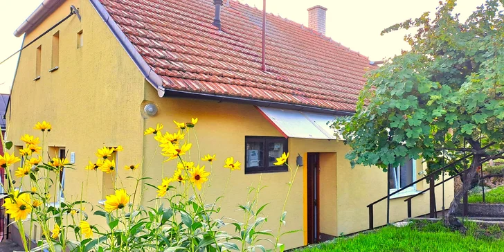 Dovolená až pro 8 osob v domku s velkou zahradou a vinohradem mezi Valticemi a Lednicí