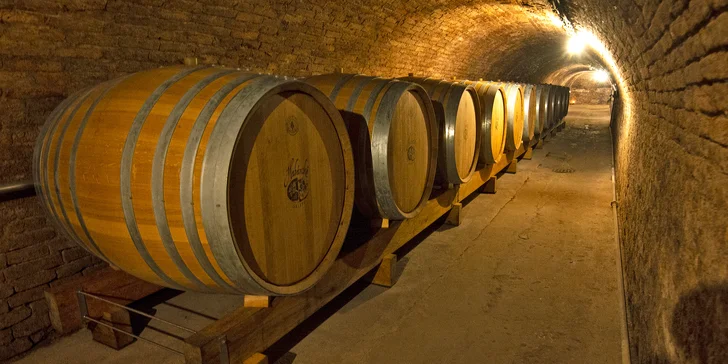 Prohlídka Habánských sklepů: degustace 6 vzorků, welcome drink, 1 nebo 6 lahví vína domů