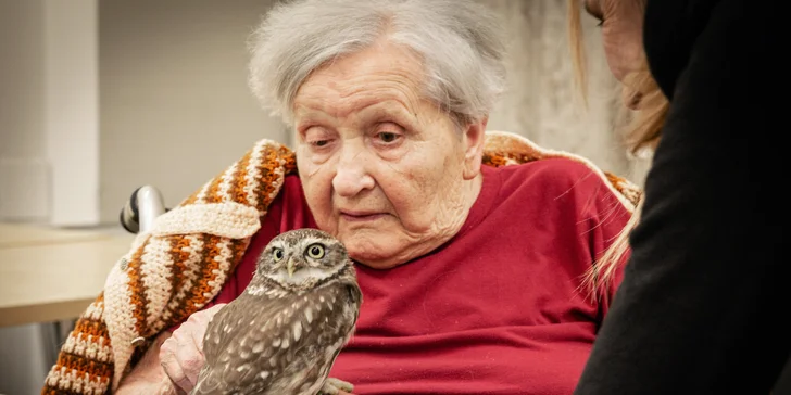 Podpořte organizaci Sue Ryder: splňte velká přání seniorů, přispějte na zooterapii i tréninky paměti