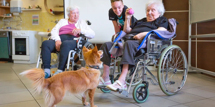 Podpořte organizaci Sue Ryder: splňte velká přání seniorů, přispějte na zooterapii i tréninky paměti