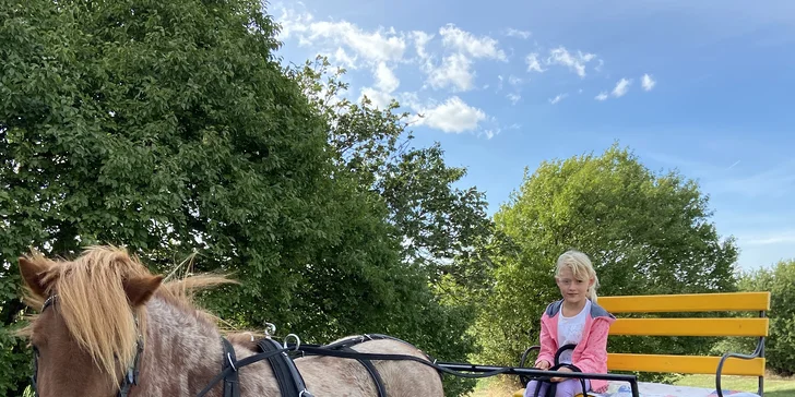 Hodinová projížďka na poníkovi, tažném vozíku či koni na Rodinné farmě Bukovi pro děti i dospělé