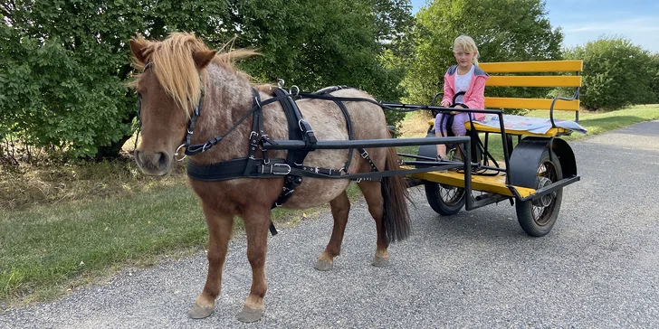 Hodinová projížďka na poníkovi, tažném vozíku či koni na Rodinné farmě Bukovi pro děti i dospělé