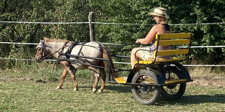 Hodinová projížďka na poníkovi, tažném vozíku či koni na Rodinné farmě Bukovi pro děti i dospělé