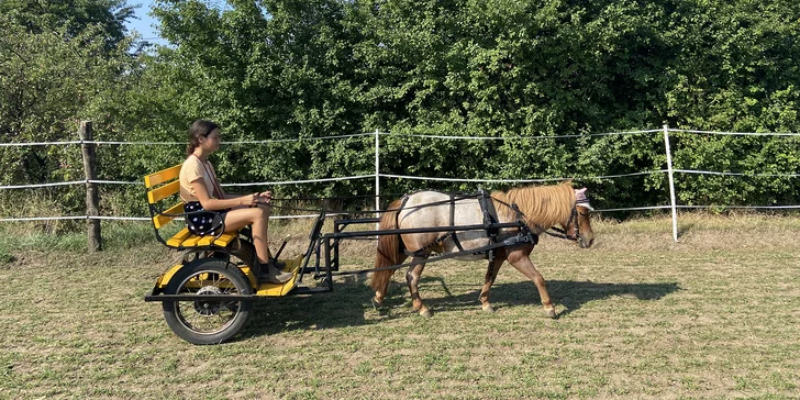Hodinová projížďka na poníkovi, tažném vozíku či koni na Rodinné farmě Bukovi pro děti i dospělé