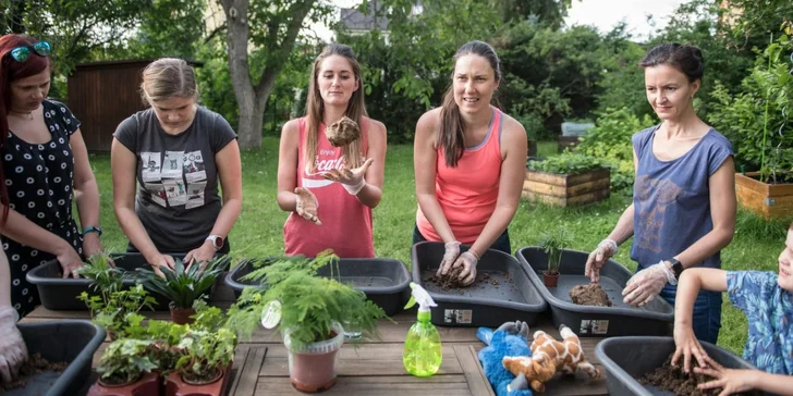 Rozvíjejte kreativního ducha: workshop výroby kokedam vč. všech pomůcek