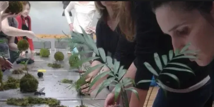 Rozvíjejte kreativního ducha: workshop výroby kokedam vč. všech pomůcek