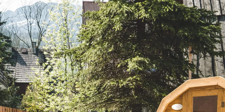 Dovolená v Zakopaném: autentické pokoje nebo apartmány, snídaně i privátní wellness