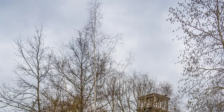 Půjčení offroadů, čtyřkolek nebo buggy v rallye-cross aréně, 15–30 minut