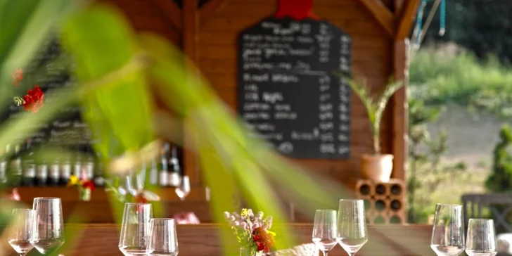 Boutique hotel u Mariánských Lázní: snídaně i neomezená ochutnávka čajů