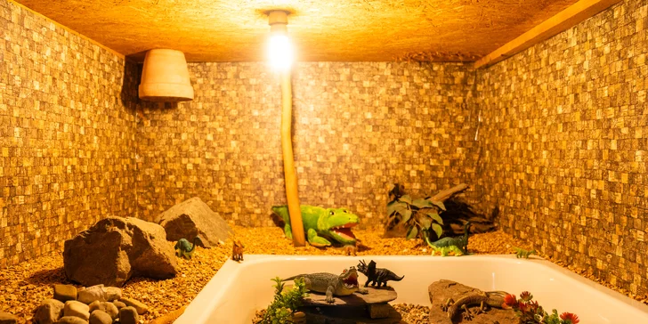 Prkno plné řízků s cibulovými kroužky a hranolkami ve variantách 600 g anebo 1,2 kg masa
