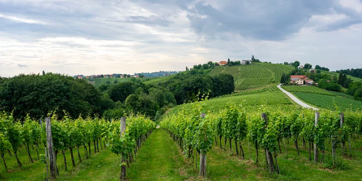 Rodinný relax ve slovinských termálech Terme Banovci: sauna, termální bazény i snídaně, 2 děti zdarma