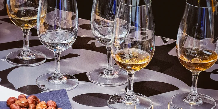 Degustace 6 druhů tequily s občerstvením i výkladem pro 2 až 4 osoby