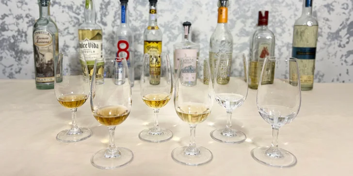 Degustace 6 druhů tequily s občerstvením i výkladem pro 2 až 4 osoby