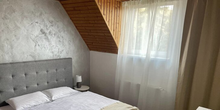 Dovolená ve Vysokých Tatrách: vybavená vila až pro 16 osob uprostřed Ždiaru