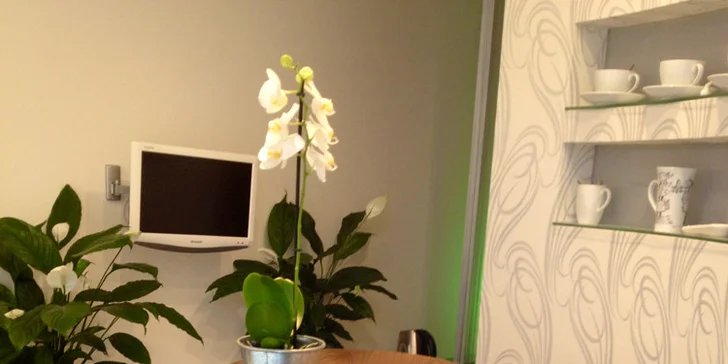 5x laserová epilace podpaží, lýtek, třísel a intimních partií