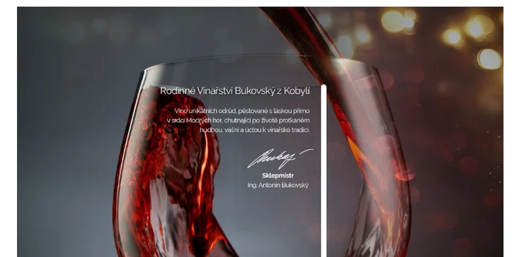 Degustace vín se someliérem pro 2 osoby: 5–6 vzorků a tapas