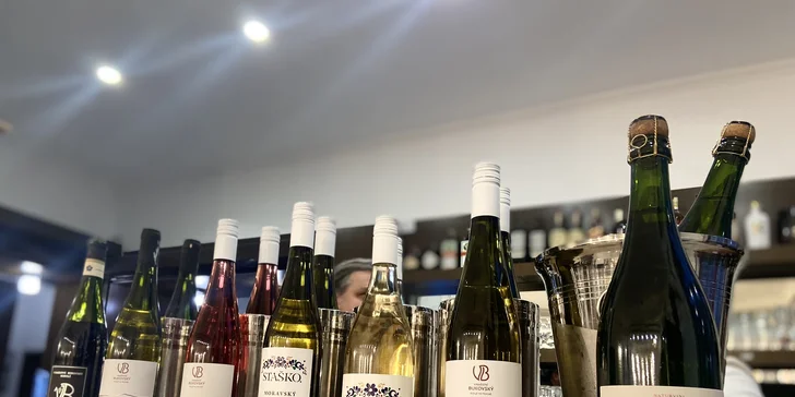 Degustace vín se someliérem pro 2 osoby: 5–6 vzorků a tapas